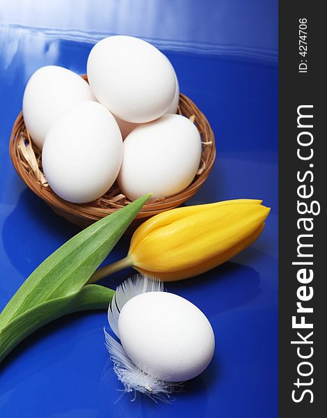 White eggs with yellow tulip on blue background. White eggs with yellow tulip on blue background.