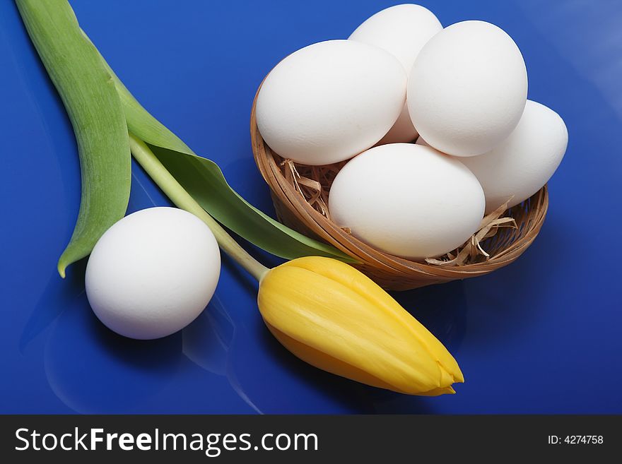 White eggs with yellow tulip on blue background. White eggs with yellow tulip on blue background.