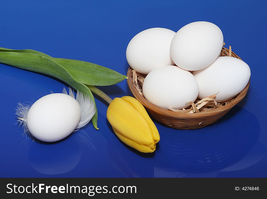 White eggs with yellow tulip on blue background. White eggs with yellow tulip on blue background.