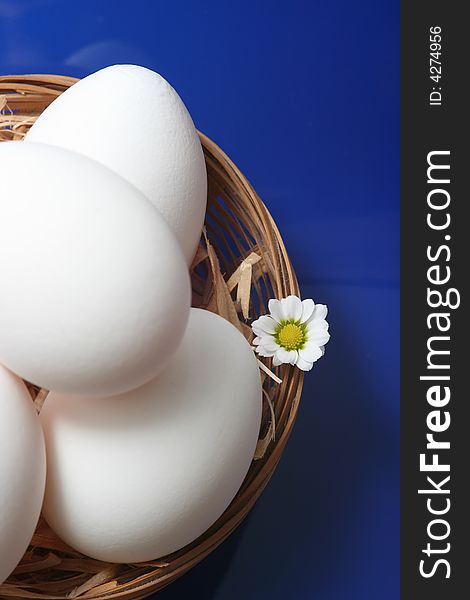 White eggs with flover on blue background. White eggs with flover on blue background.