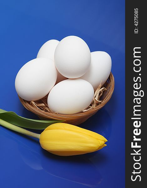 White eggs with yellow tulip on blue background. White eggs with yellow tulip on blue background.