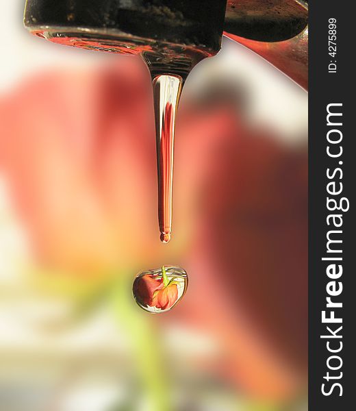 Reflection of a red rose in a drop of falling water. Reflection of a red rose in a drop of falling water