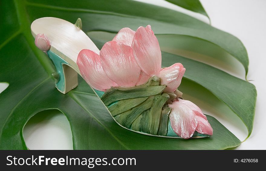 Shoes-flower bud on a green leaf. Shoes-flower bud on a green leaf