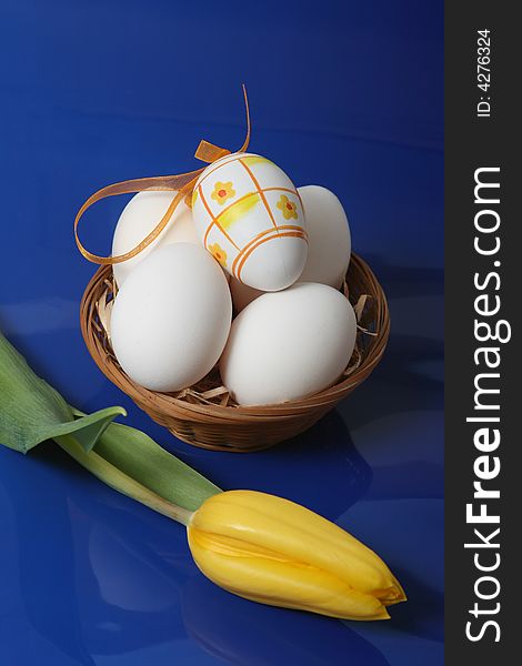 Easter eggs with yellow tulip on blue background.