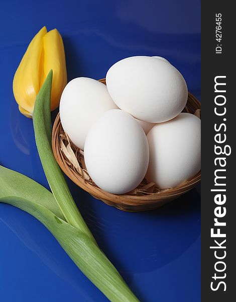 Nature eggs with yellow tulip on blue background. Nature eggs with yellow tulip on blue background.