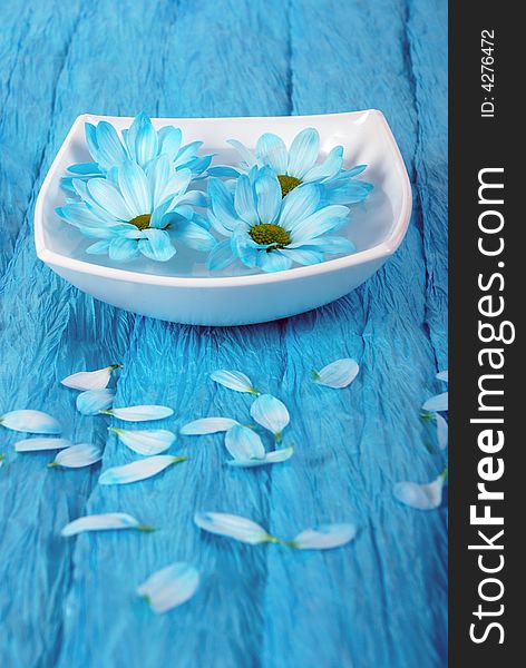 Blue flowers composition in a white pot on blue background. Blue flowers composition in a white pot on blue background.