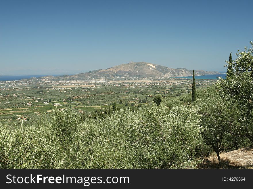 Olive trees and view of Zakynthos-city, Greece. Olive trees and view of Zakynthos-city, Greece