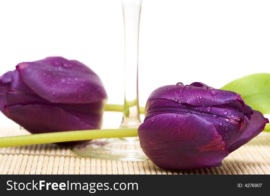 Violet flowers and glass with wine