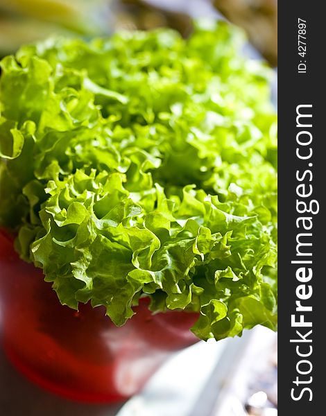 Food series: tasty fresh lettuce on the bowl