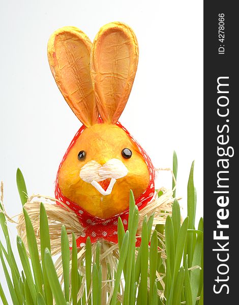 Easter rabbit in a grass