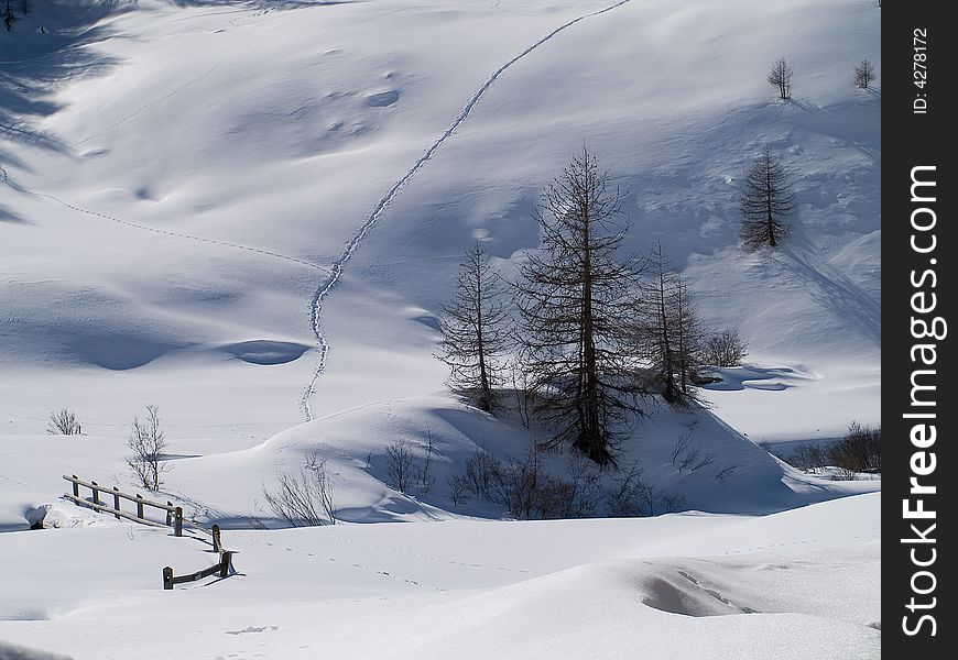 Winter landscape with snow and plants
(Switzerland). Winter landscape with snow and plants
(Switzerland)