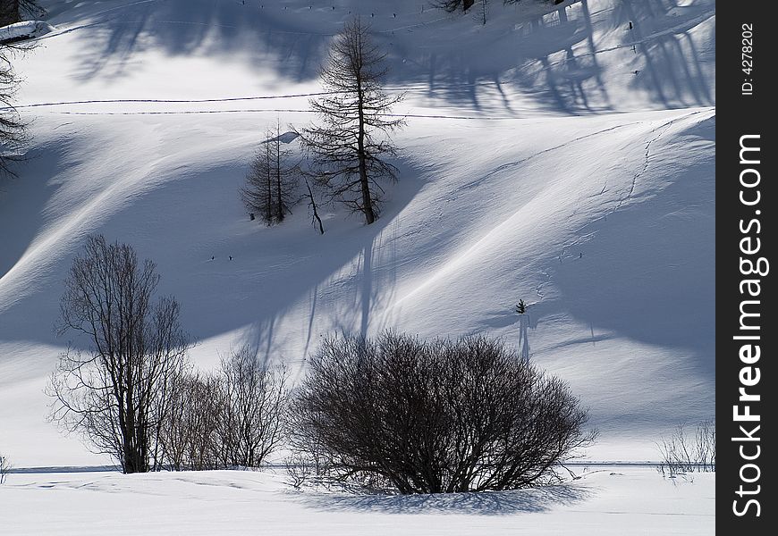 Winter landscape with snow and plants