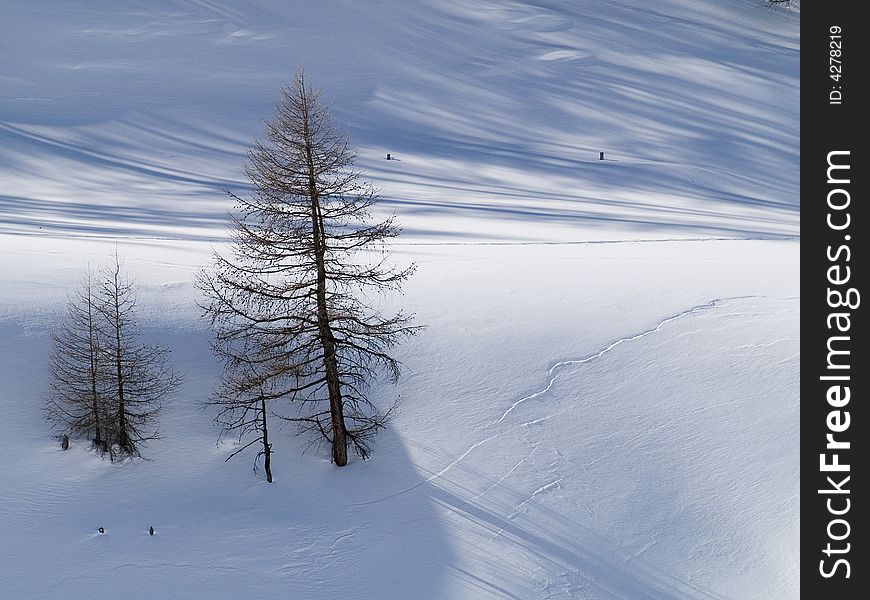 Winter landscape with snow and plants. Winter landscape with snow and plants