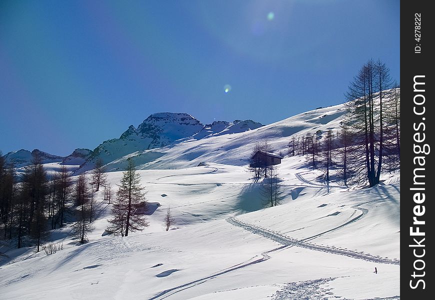 Winter landscape with snow and plants. Winter landscape with snow and plants