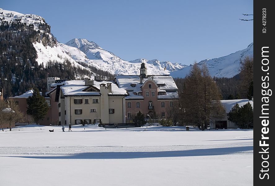 Winter landscape with snow and plants. Winter landscape with snow and plants