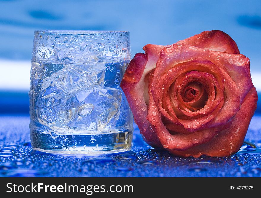 Glass with water and rose over blue