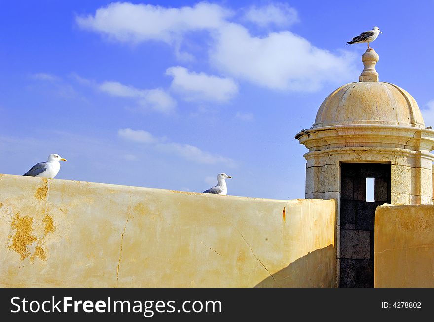 Portugal, area of Algarve, Lagos: typical military architecture, Fortress; white crow's nest with seagull on the domes top. Portugal, area of Algarve, Lagos: typical military architecture, Fortress; white crow's nest with seagull on the domes top