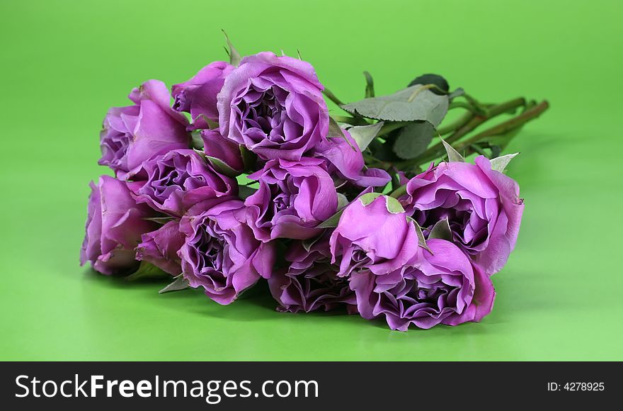 A bunch of pink roses on a green background