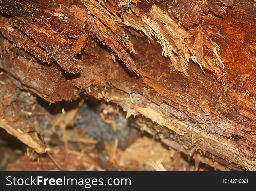 Wood stack closeup texture logs log split brown beige orange background grain