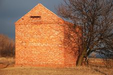 Brick Building And Dry Tree Stock Photo
