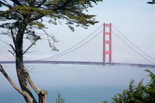 The Golden Gate Bridge In The Morning Fog Royalty Free Stock Images The Golden Gate Bridge In The Morning Fog Royalty Free Stock Images