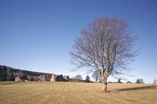 Kildrummy Castle Royalty Free Stock Photography Kildrummy Castle Royalty Free Stock Photography