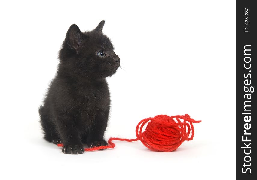 A black kitten plays with a ball of red yarn on a white background. A black kitten plays with a ball of red yarn on a white background