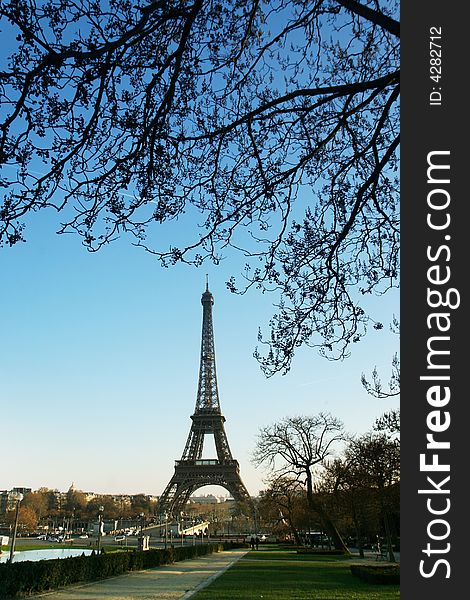 Eiffel Tower of Paris under a tree on a vey blue sky. Eiffel Tower of Paris under a tree on a vey blue sky