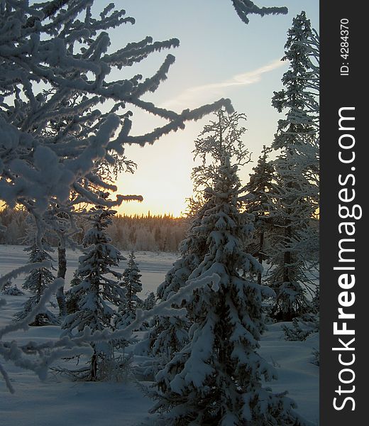 Short arctic day in Lapland. Only shaft of light instead of the sun. Difficult to determine - is it sunrise, or sunset. Short arctic day in Lapland. Only shaft of light instead of the sun. Difficult to determine - is it sunrise, or sunset.