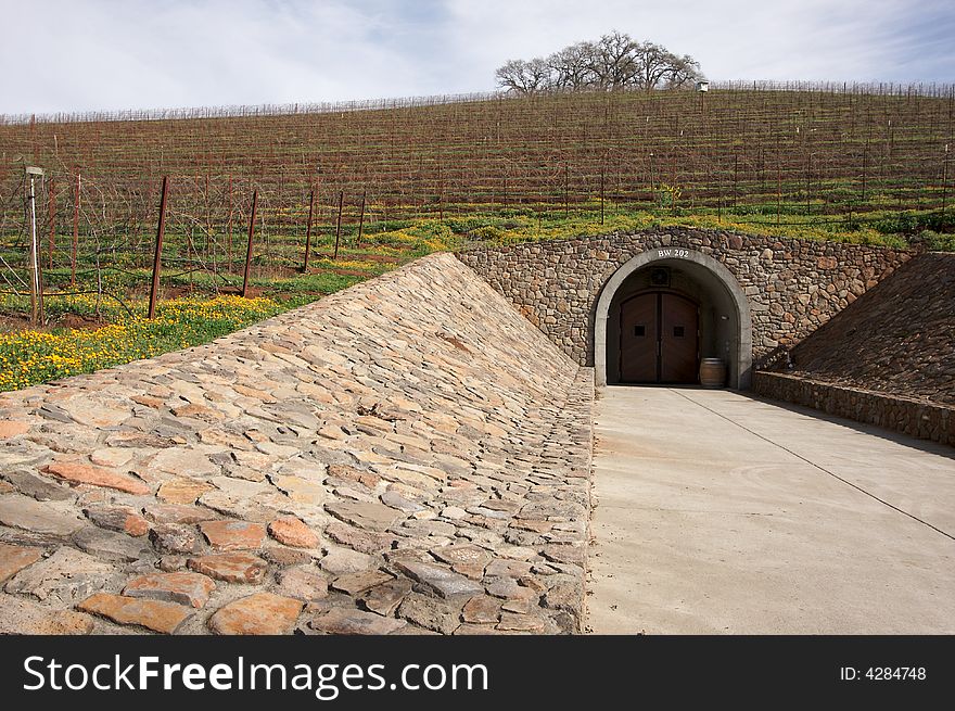 Vineyard hillside, Cellar Entryway and lone trees on an early spring day. Vineyard hillside, Cellar Entryway and lone trees on an early spring day.