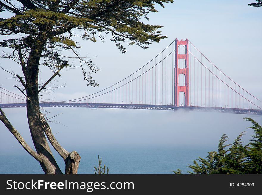 The Golden Gate Bridge in the early morning fog. San Francisco, California, United States. The Golden Gate Bridge in the early morning fog. San Francisco, California, United States.