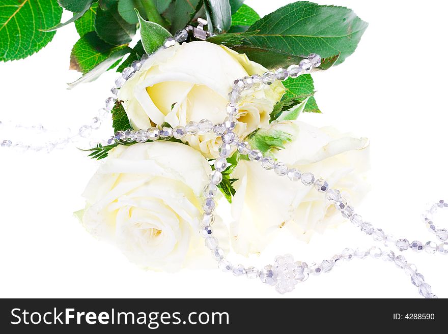 Rose with a necklace on a white background (isolated). Rose with a necklace on a white background (isolated)