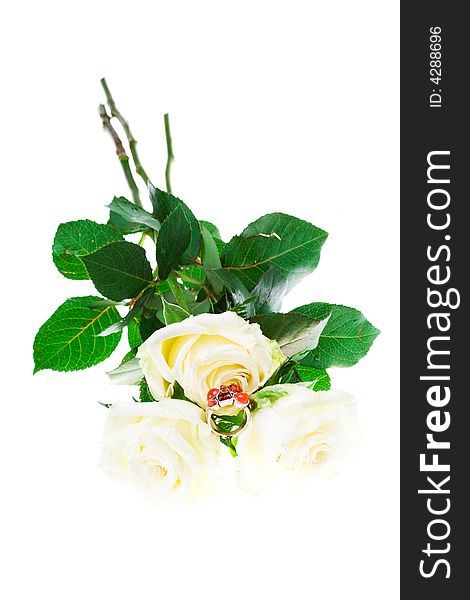 Three roses with ring on a white background (isolated). Three roses with ring on a white background (isolated)