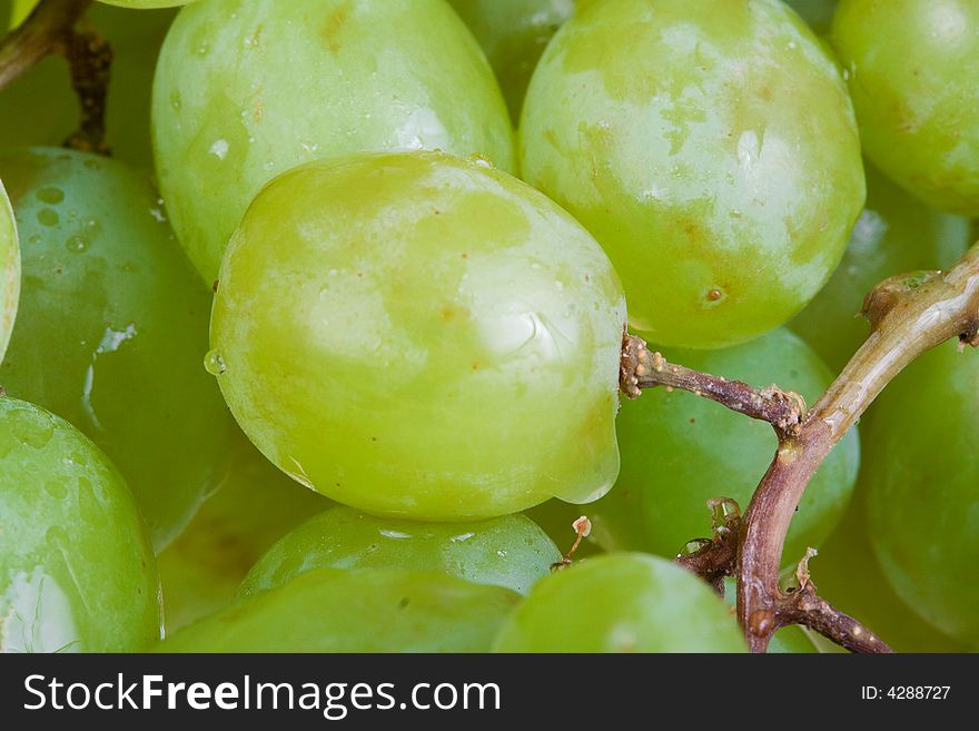 Fruit macro shot : Fresh green grapes