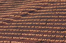 Roof Tiles Stock Photography
