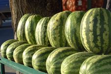 Green Water-melons Stock Image Green Water-melons Stock Image