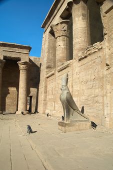 Statue Of Horus In Edfu Temple Royalty Free Stock Photos Statue Of Horus In Edfu Temple Royalty Free Stock Photos