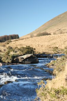 Fresh Mountain Stream Royalty Free Stock Photo