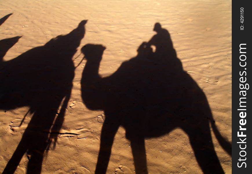 The shadow from camels