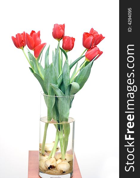 Bouquet of tulips an vase on white background