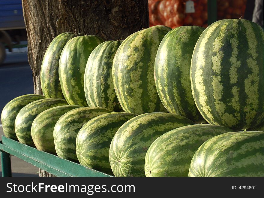 Two rows of water-melons on the market. Two rows of water-melons on the market