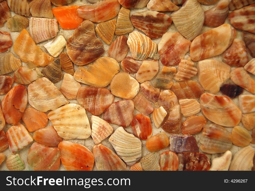 Fragments of shells on a flat surface, close-up