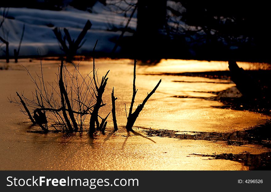 Branch in the ice river, in the bank, white snow covered. And the ice refect the color of the sunset, golden color