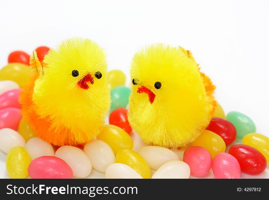 Two chickens and easter eggs on white