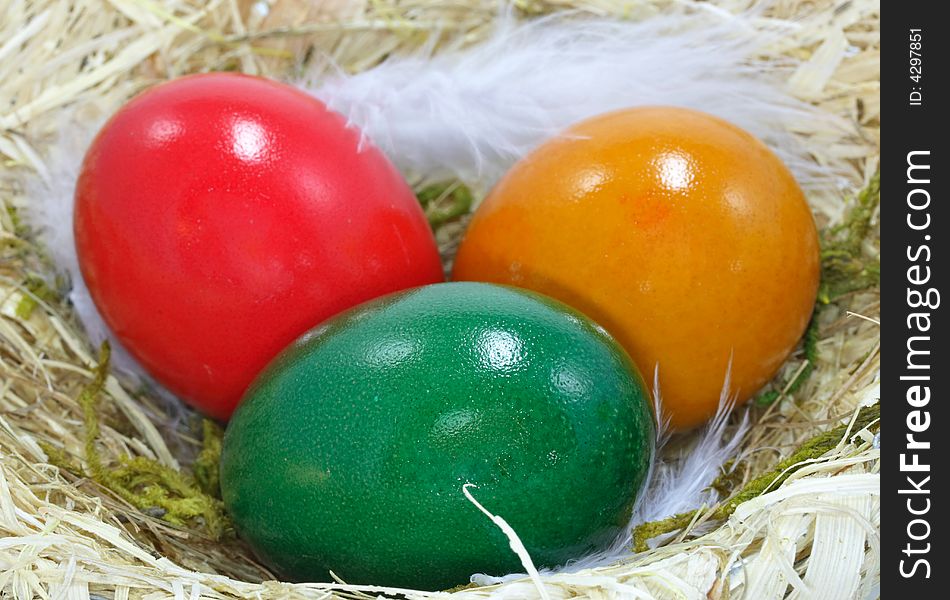 Colored easter eggs in nest