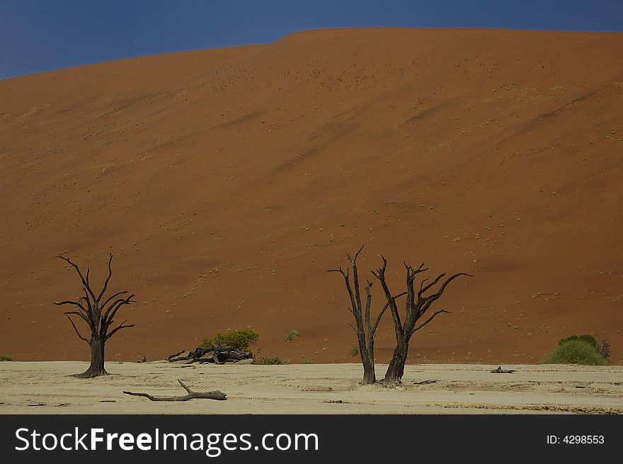 Deadvlei (Namib Desert)