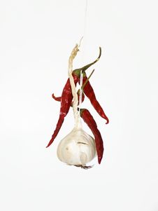 Hot And Chilly Royalty Free Stock Images Hot And Chilly Royalty Free Stock Images