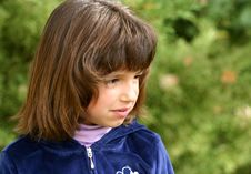 Free What S That Royalty Free Stock Photography - 434907