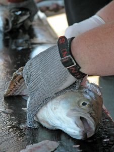 Fish Cleaning Stock Photography Fish Cleaning Stock Photography