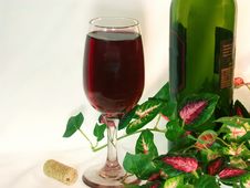 Solo Glass Of Red Wine And Wine Bottle Amongst Ivy Leaves. Stock Photos Solo Glass Of Red Wine And Wine Bottle Amongst Ivy Leaves. Stock Photos